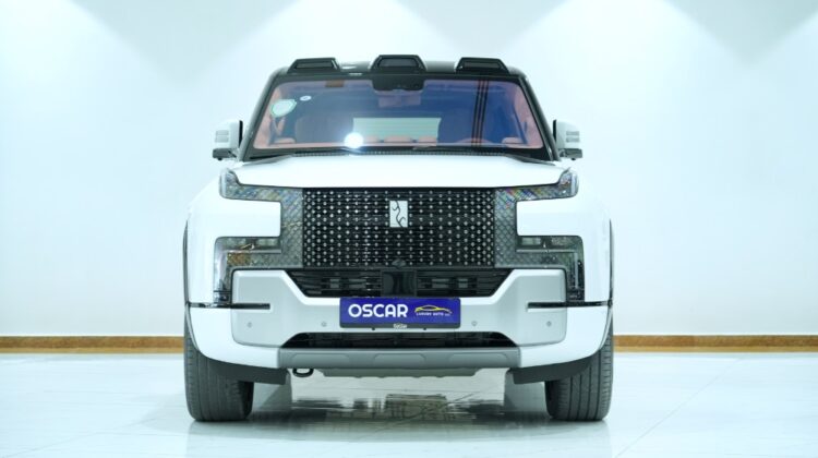 BYD YANWANG U8 2024 WHITE (FOR EXPORT )